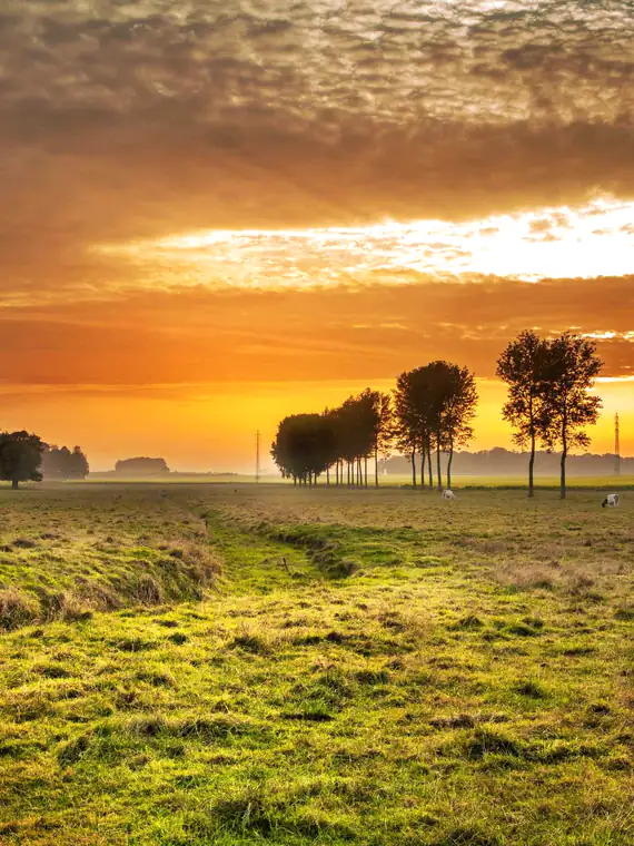 Example photo: the same sunset, a moment later